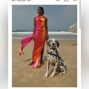 Baobab Providencia Maxi Dress (M) in Moon River, New with Tags